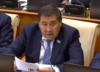 Кадр из видеотрансляции