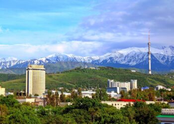 Фото: пресс-служба акимата Алматы