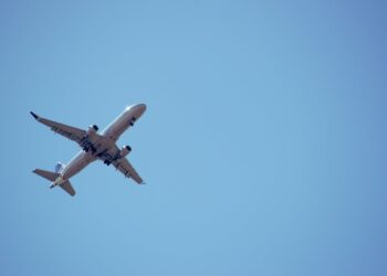 Фото: Pexels