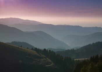 Фото: Pexels