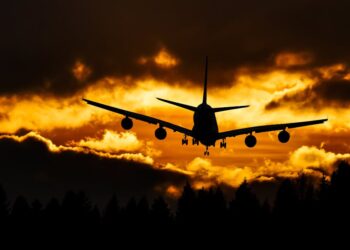 Фото: Pexels