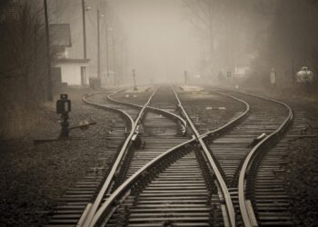 Фото: Pexels