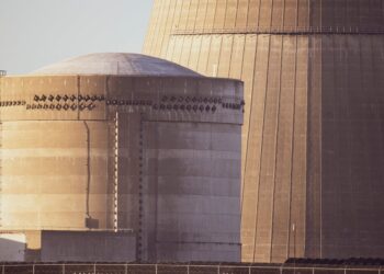 Фото: Pexels