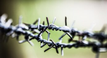 Бунт в колонии устроили осужденные в Туркестанской области