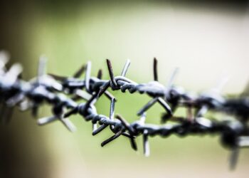 Фото: Pexels