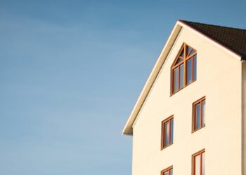 Фото: Pexels