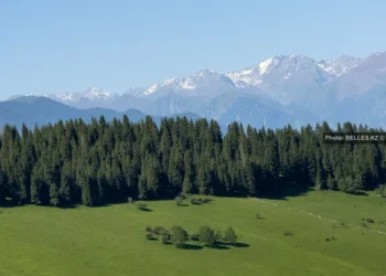 Фото: Belles.kz