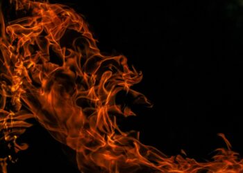 Фото: pixabay