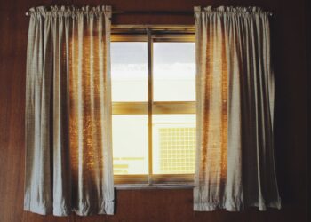 Фото: Pexels