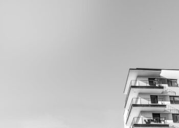 Фото: Pexels