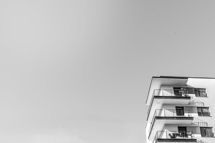 Фото: Pexels