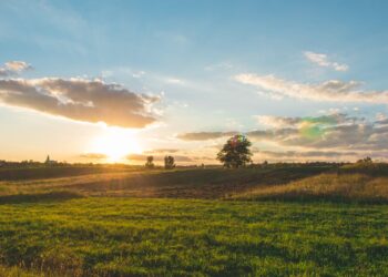 Фото: Pexels