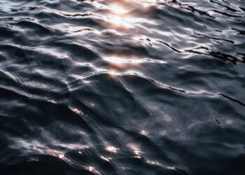 Фото: Pexels