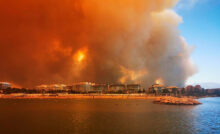 Фото: ShutterStock