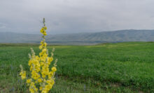 Фото: Belles.kz