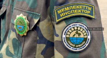 После пожара в «Семей орманы»: как в Казахстане усиливают защиту лесов